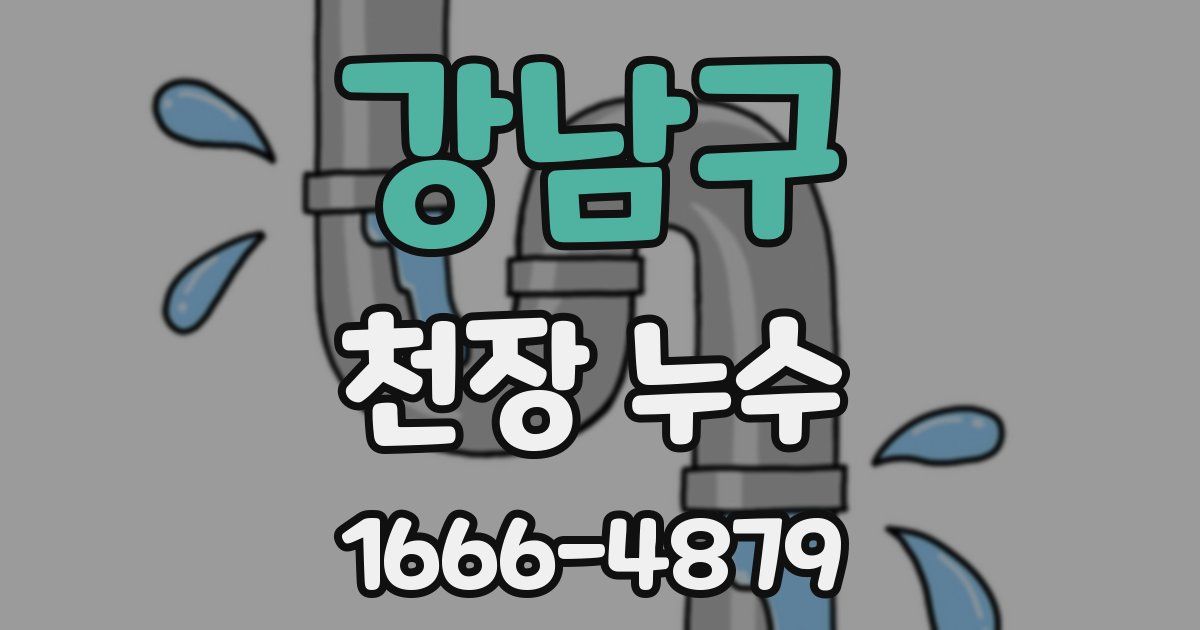 강남구 천장 누수