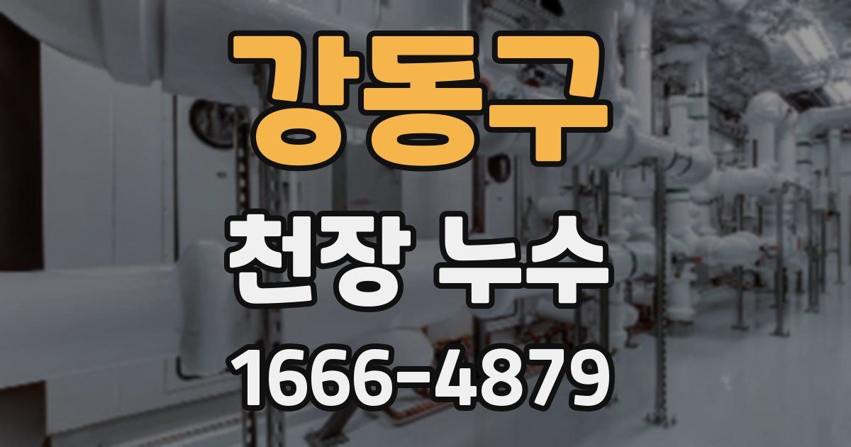 강동구 천장 누수