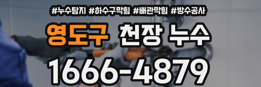 영도구 천장 누수