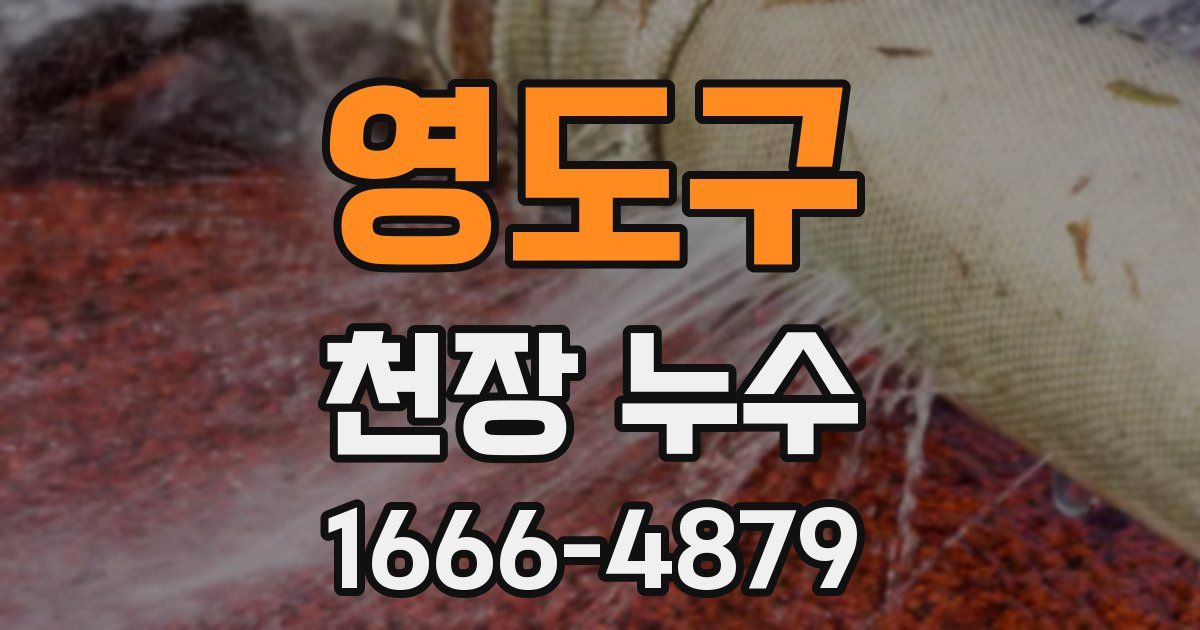 영도구 천장 누수