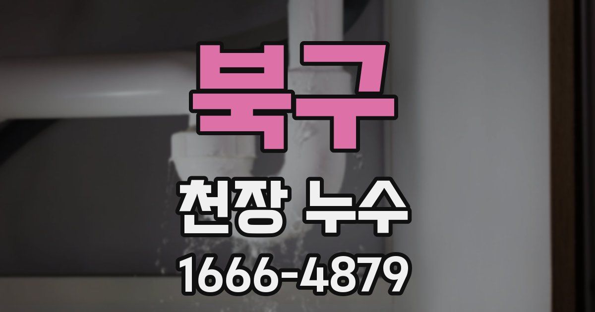 북구 천장 누수