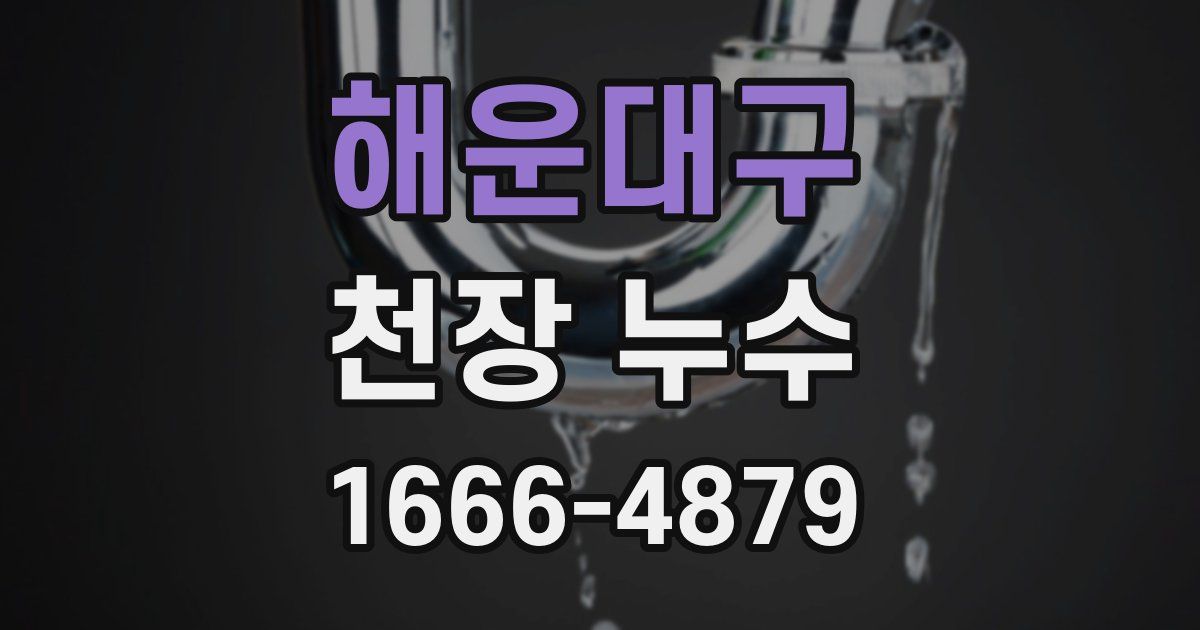 해운대구 천장 누수