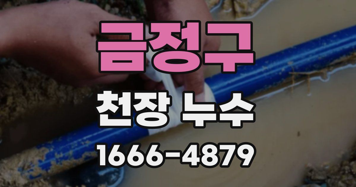 금정구 천장 누수