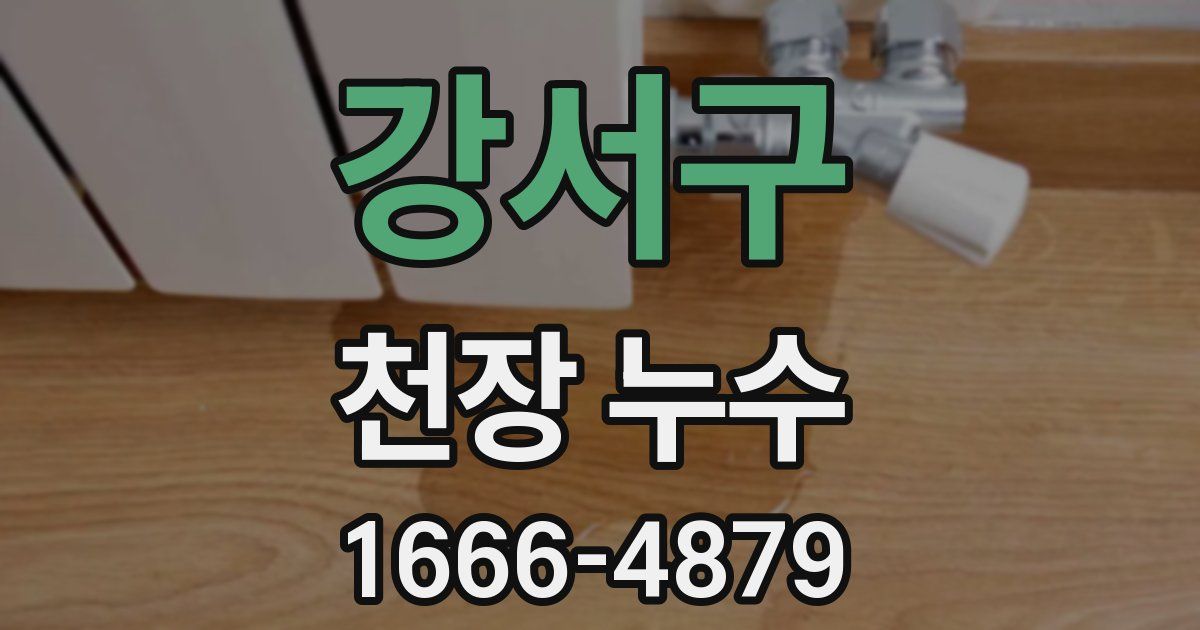 강서구 천장 누수