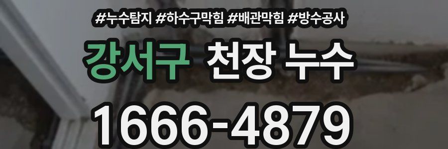 강서구 천장 누수