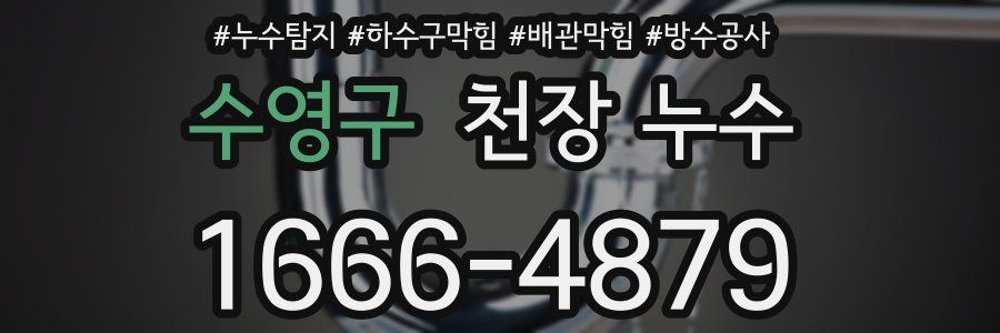 수영구 천장 누수