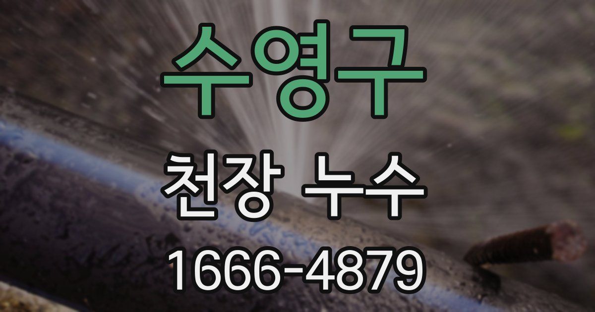 수영구 천장 누수