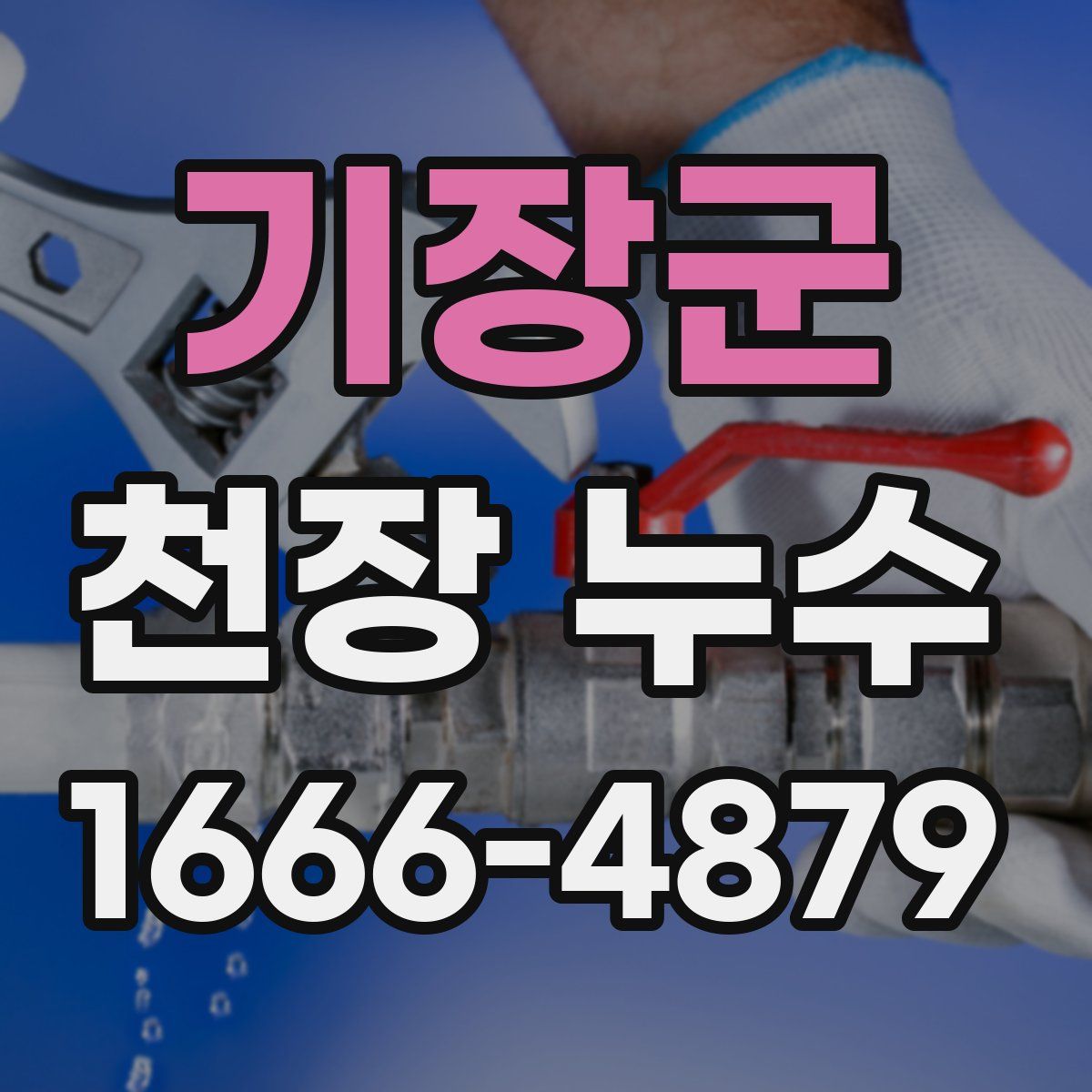 기장군 천장 누수