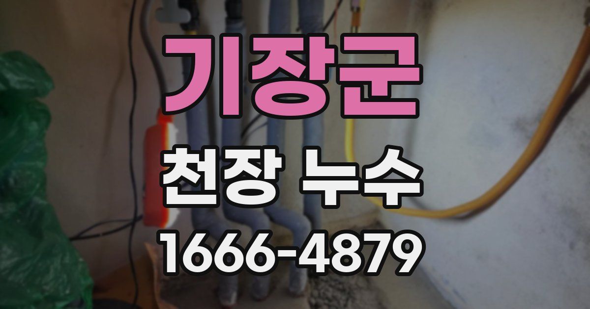 기장군 천장 누수