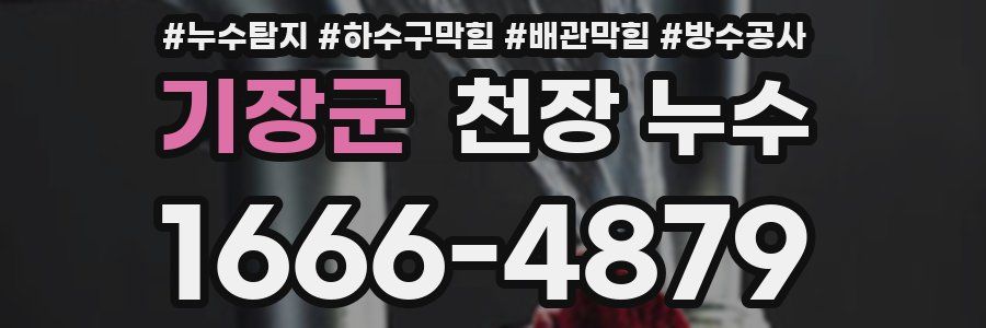 기장군 천장 누수