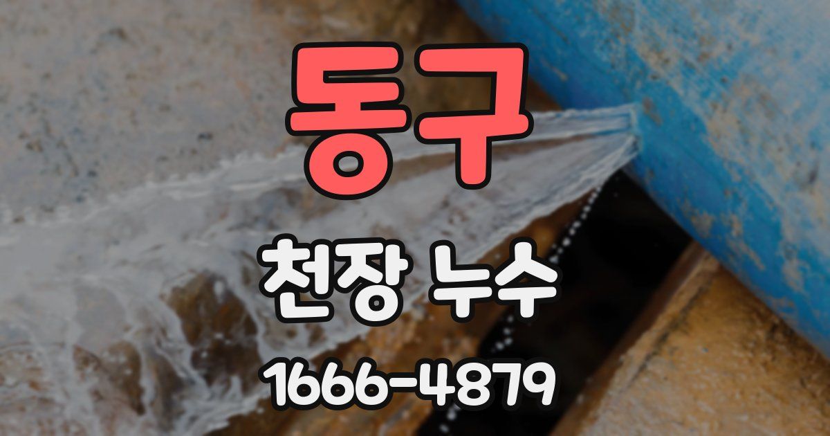동구 천장 누수