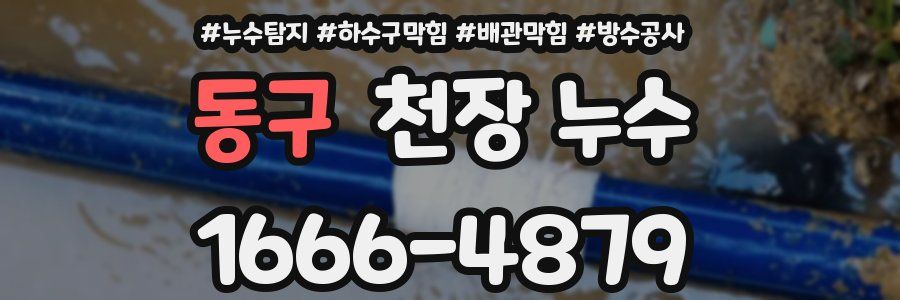 동구 천장 누수