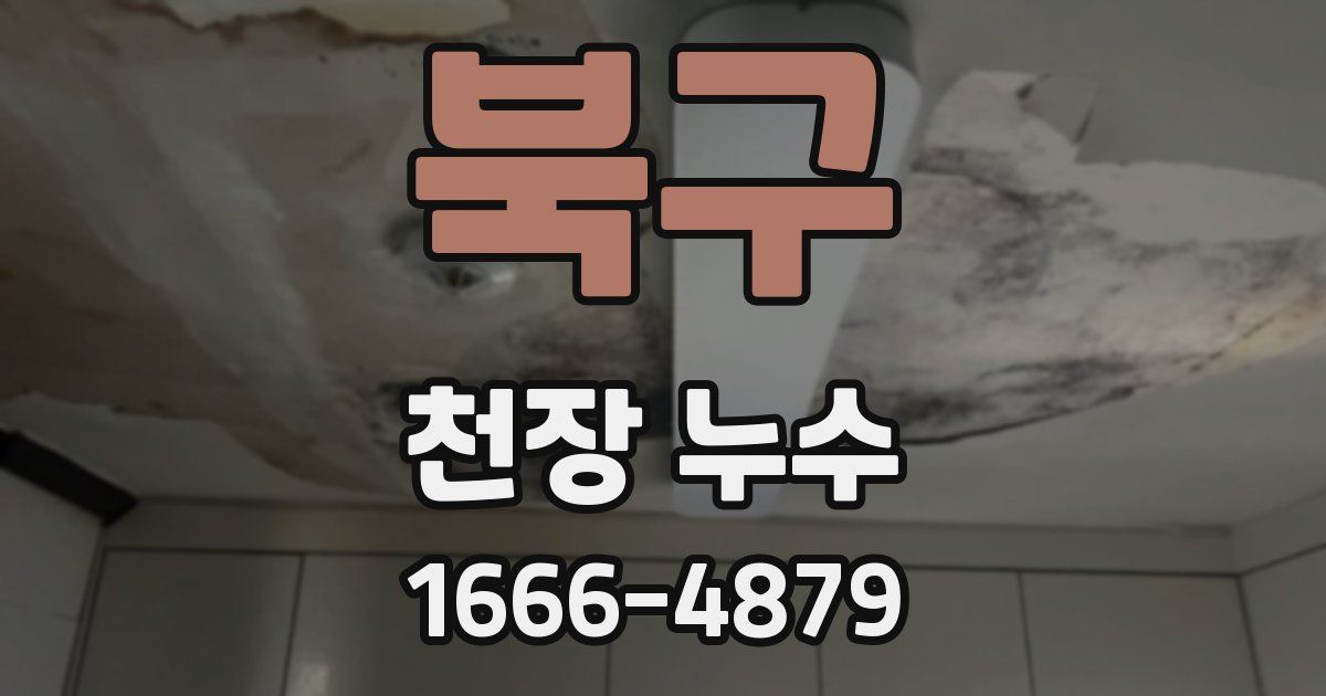북구 천장 누수