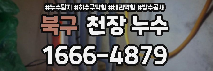 북구 천장 누수