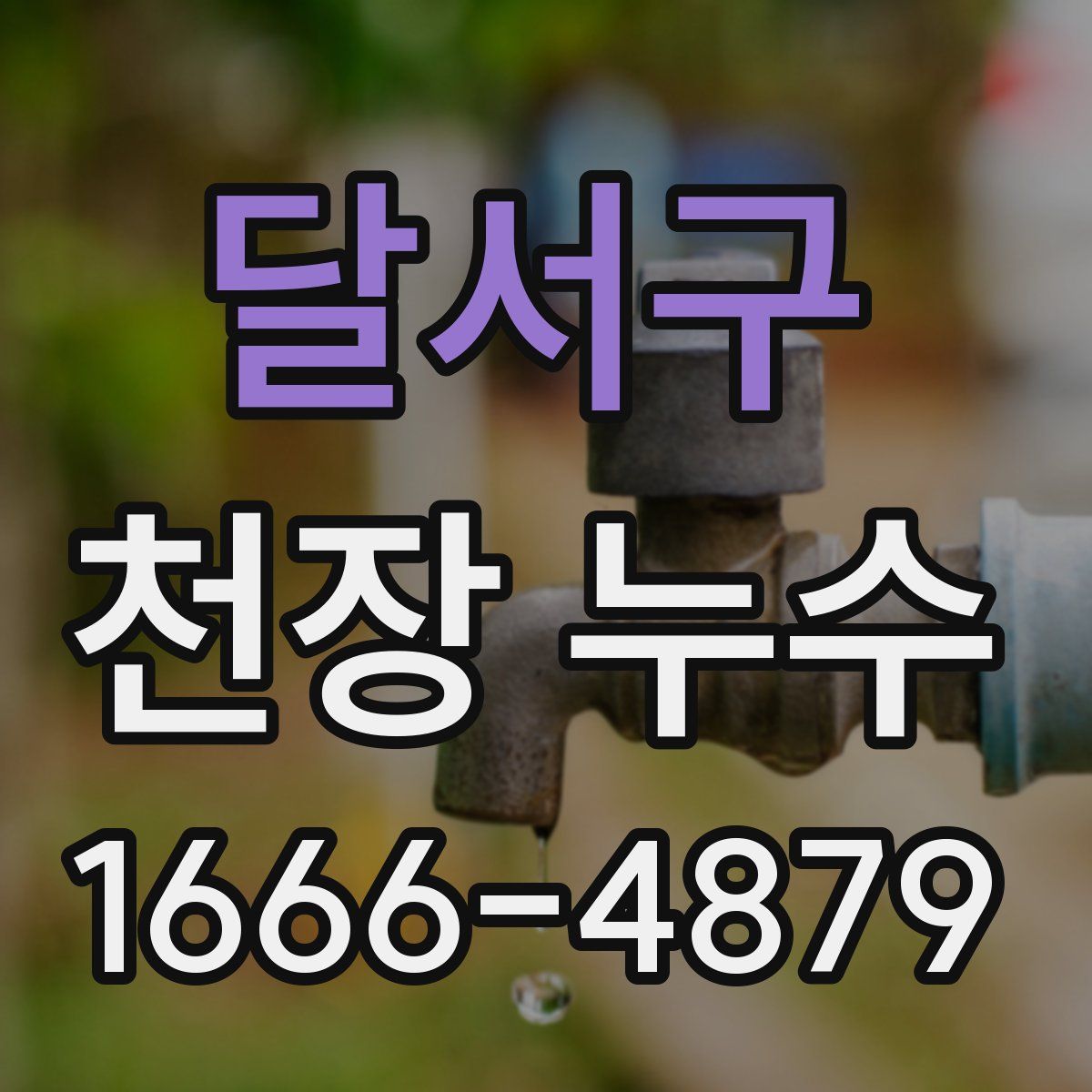 달서구 천장 누수