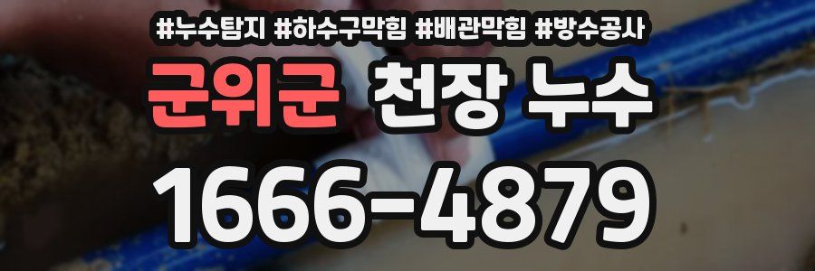 군위군 천장 누수