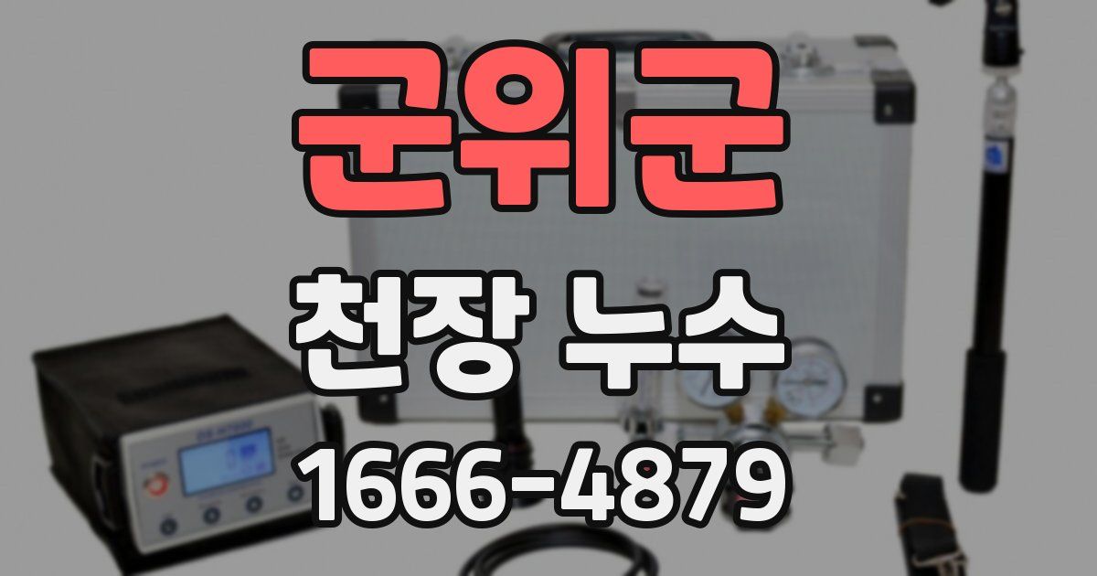 군위군 천장 누수