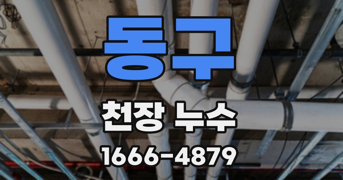 동구 천장 누수