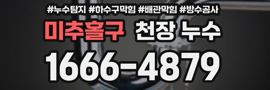 미추홀구 천장 누수