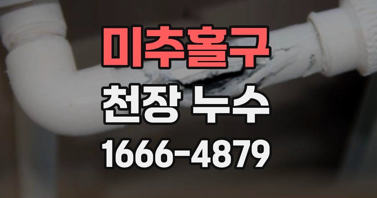 미추홀구 천장 누수
