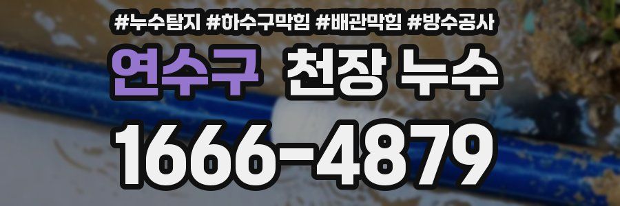 연수구 천장 누수