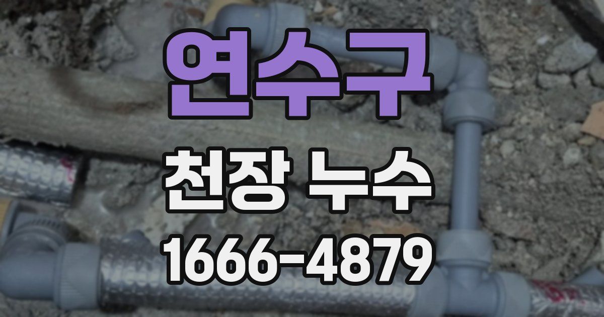 연수구 천장 누수