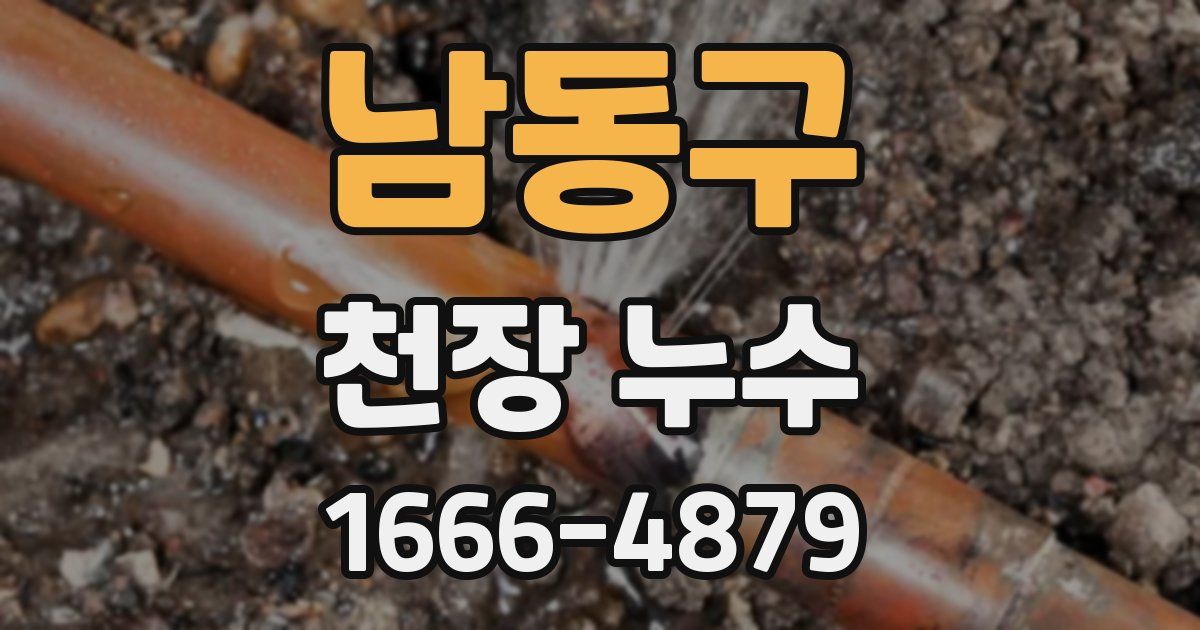 남동구 천장 누수