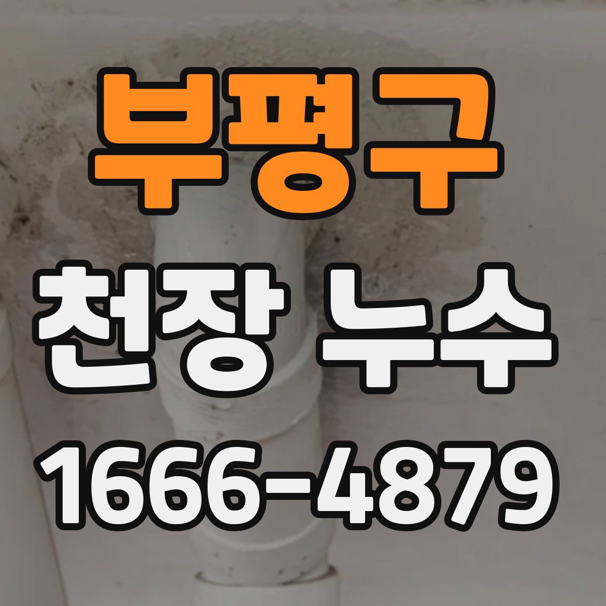 부평구 천장 누수