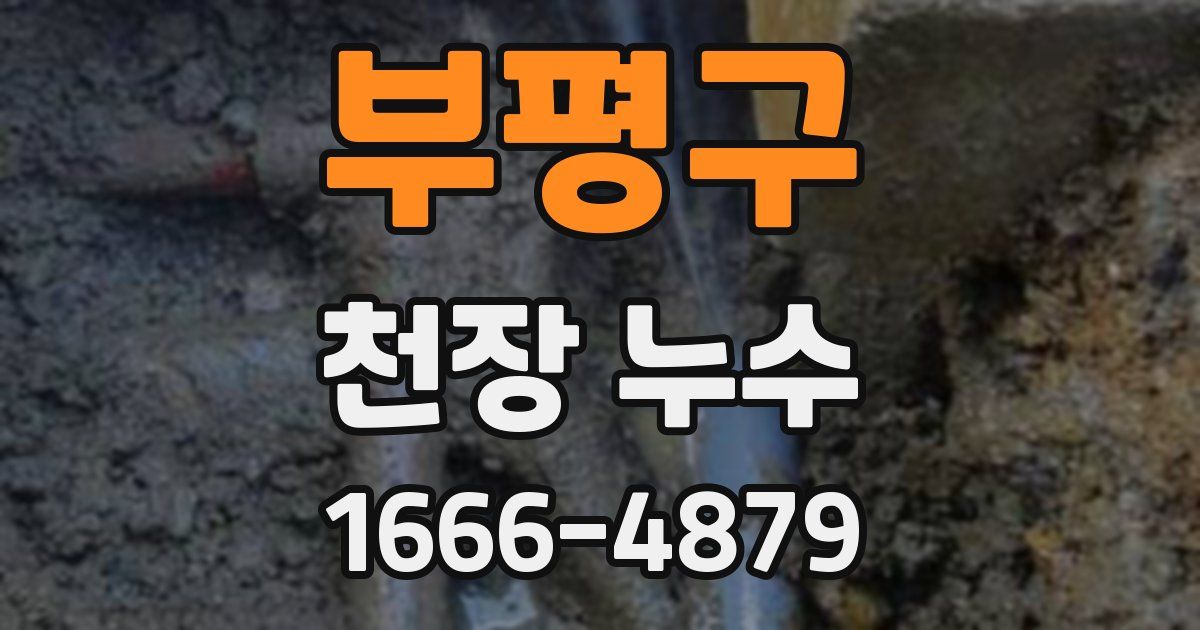 부평구 천장 누수