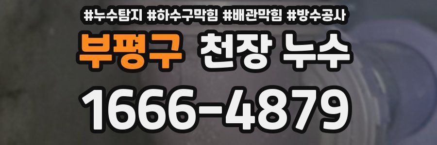 부평구 천장 누수
