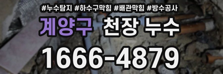계양구 천장 누수