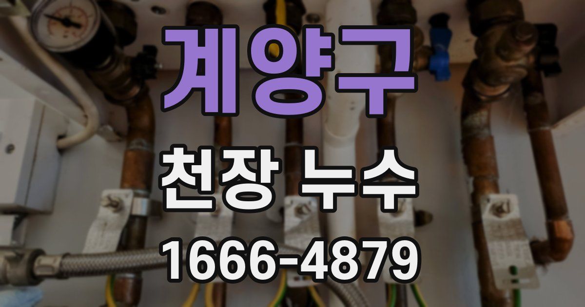계양구 천장 누수