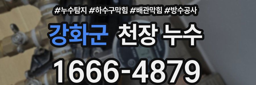 강화군 천장 누수