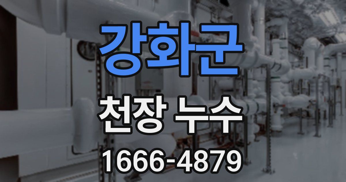강화군 천장 누수