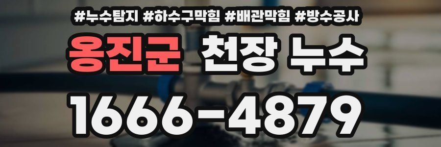 옹진군 천장 누수