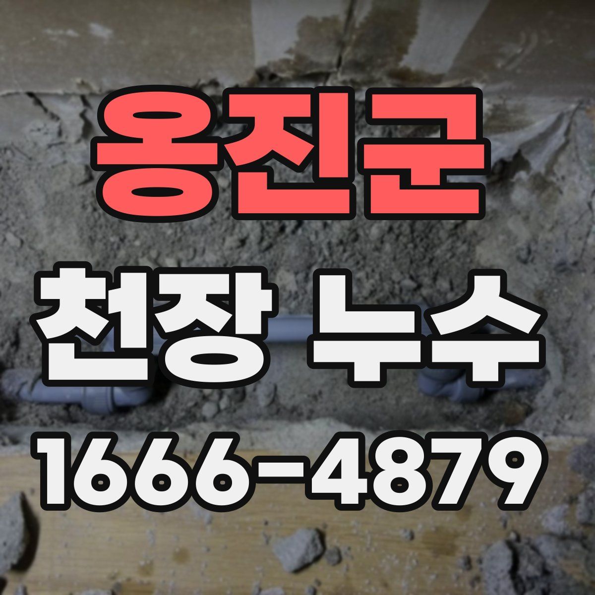 옹진군 천장 누수