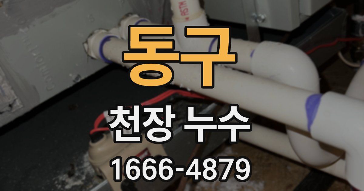 동구 천장 누수
