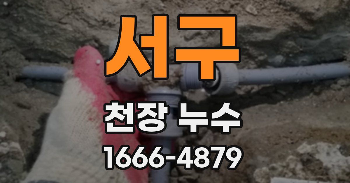서구 천장 누수