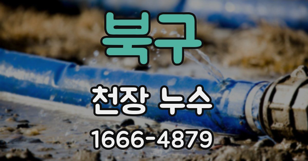북구 천장 누수