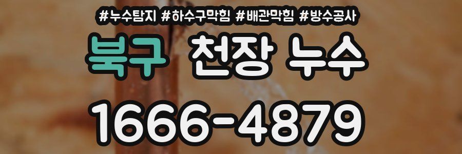 북구 천장 누수