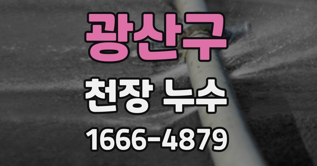 광산구 천장 누수