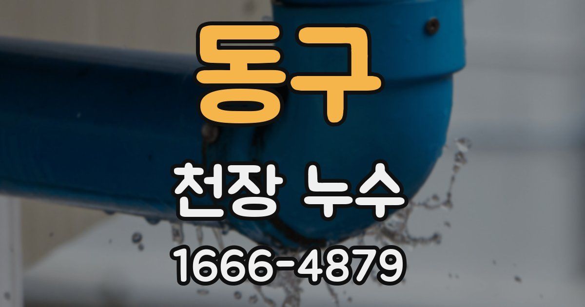동구 천장 누수