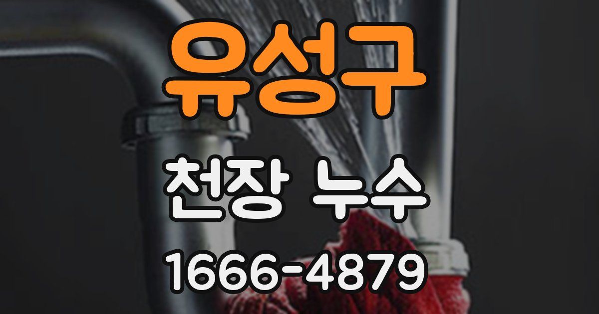 유성구 천장 누수