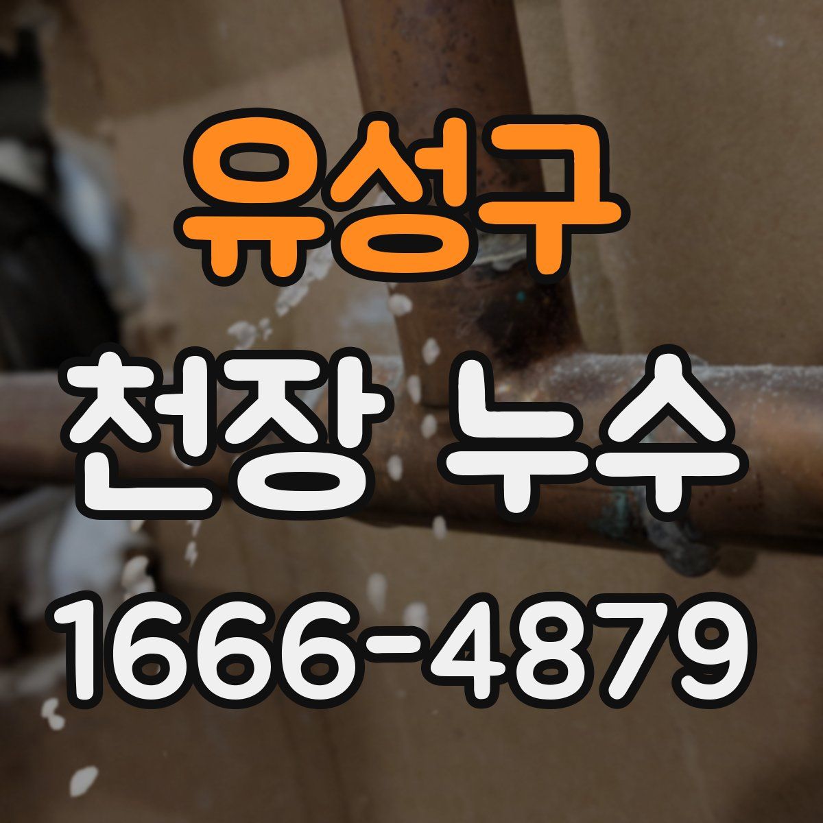유성구 천장 누수