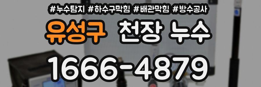유성구 천장 누수