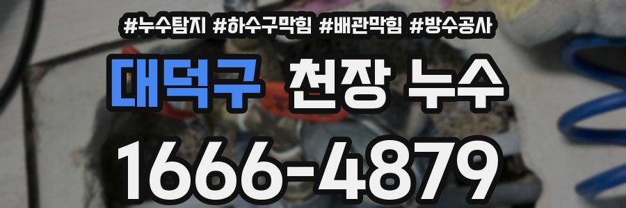 대덕구 천장 누수