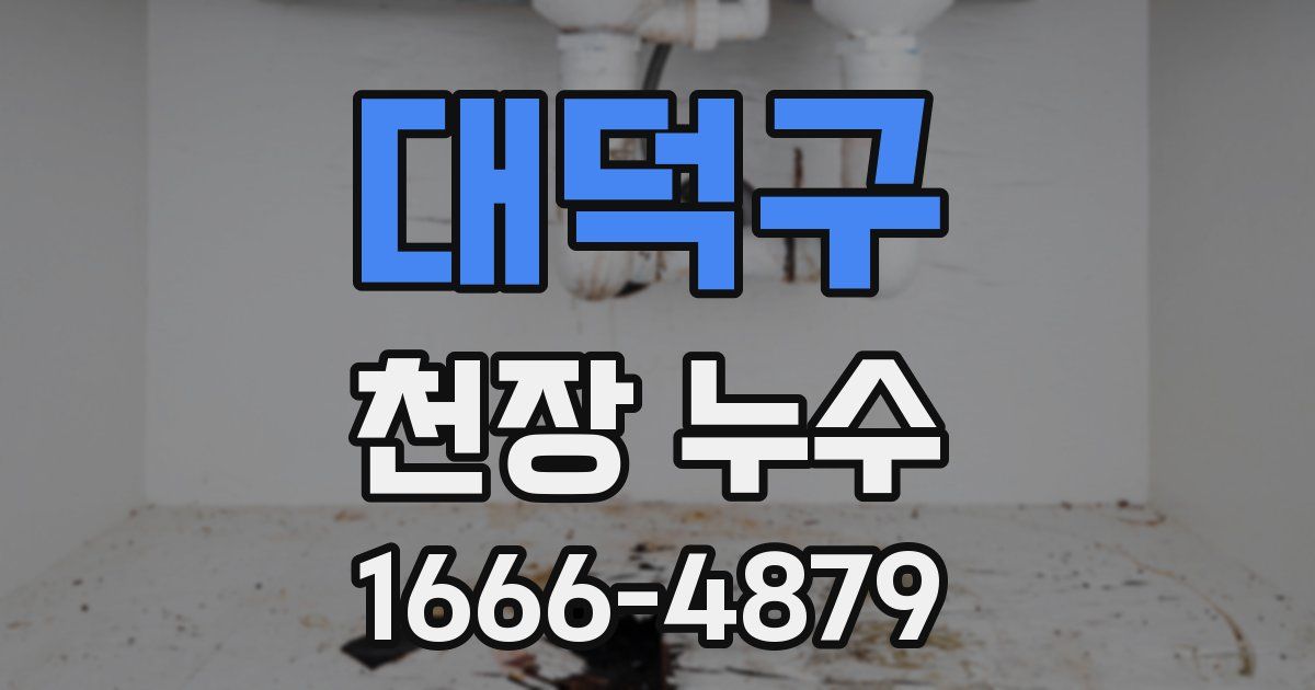 대덕구 천장 누수