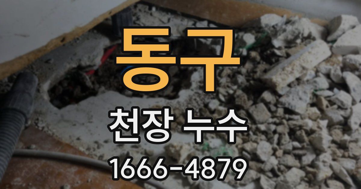 동구 천장 누수