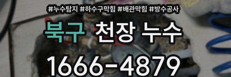 북구 천장 누수