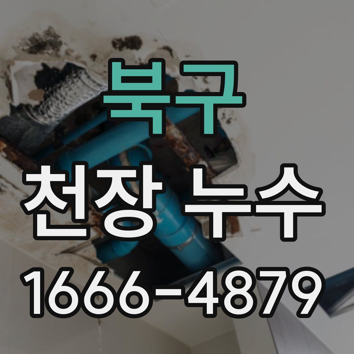 북구 천장 누수